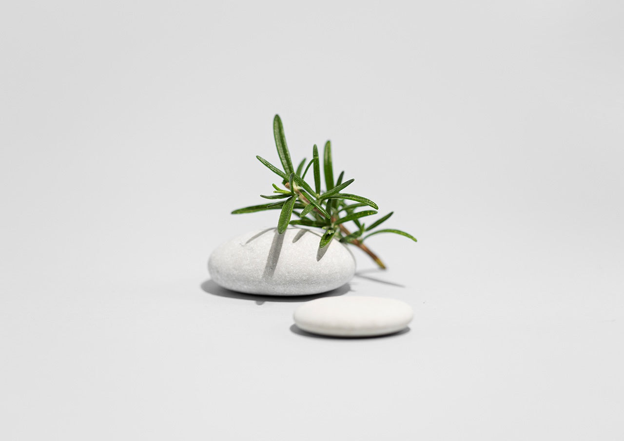 My Organics Fortifying Conditioner 250ml