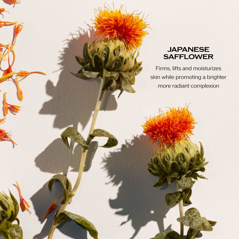 Shiseido Vital Perfection Uplifting & Firming Day Cream SPF 30 50ml